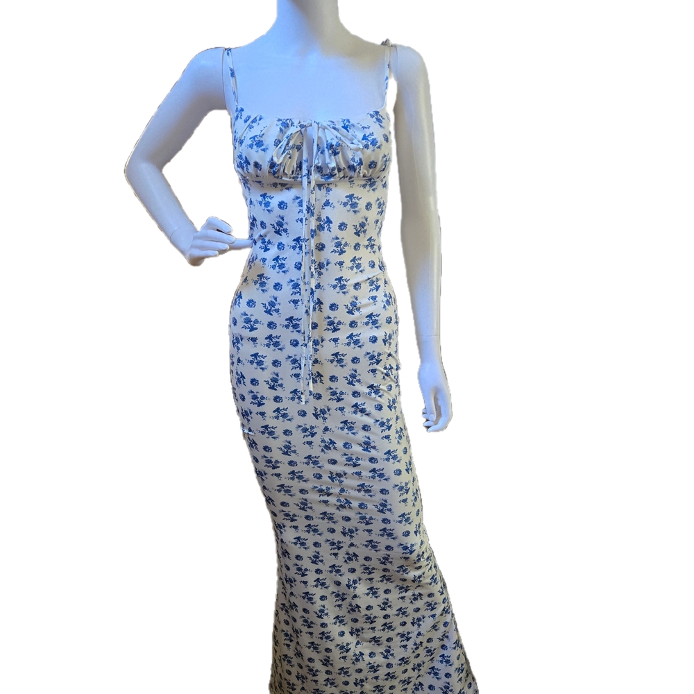 Floral Blue and White Maxi Dress